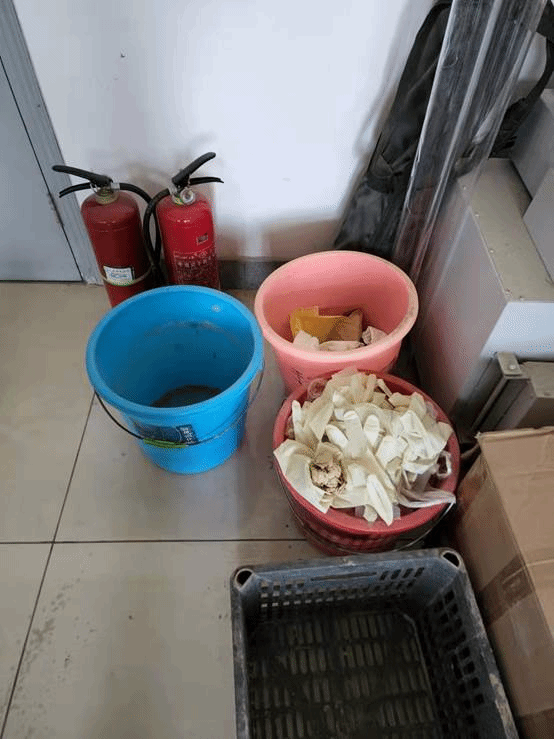 //web.9se91.net:8080/_vsl/77AF8DBDFF5F13D78C5D1B52D85B0B83/67E6E005/A1EB